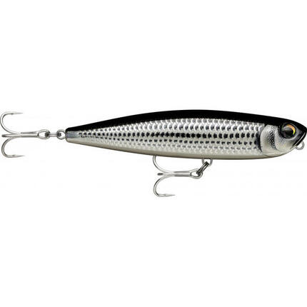 Rapala Precision Xtreme Pencil SW 10,7 cm - 21 g