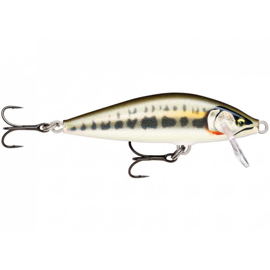RAPALA picture