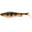 Leurre Souple Daiwa Prorex Lazy Shad 16cm (NATURAL PERCH - 54g - 16cm)
