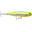 Poisson Nageur Rapala Precision Xtreme Pencil SW 12,7cm (FHC - 26g - 12,7cm)