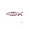 Spro Bbz-1 Uv 6 inch Ss Swimbait Rainbow Trout