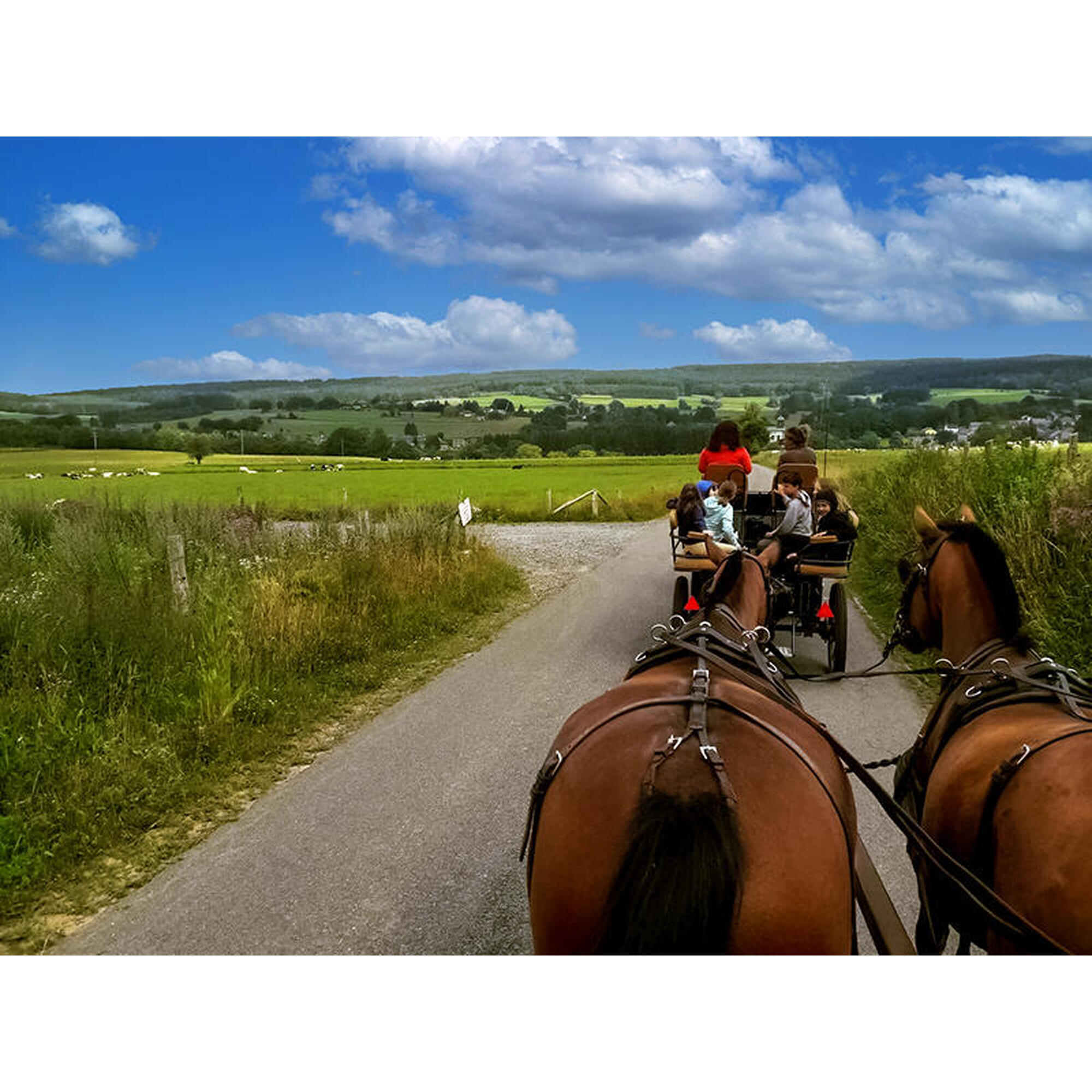 Rit met paardenkoets voor 2 met hapje en drankje