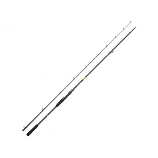 Canne Casting Daiwa Prorex E 2022 (129g - 2m03 - 28 - 84g - 2)