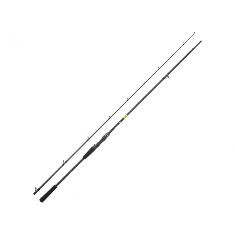 Canne Casting Daiwa Prorex E 2022 (115g - 1m98 - 7 - 28g - 2)