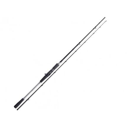 Canne Casting Shimano Yasei AX Pike (2m50 - 40 - 120g - 2)