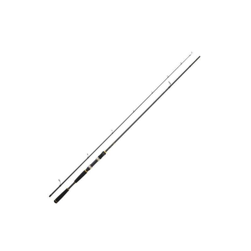 Canne spinning Mer Daiwa Legalis Seabass AF (962 HFS)