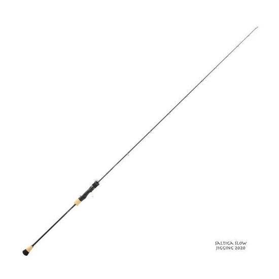 Canne Casting Mer Daiwa Saltiga Slow Jigging 2020 (B4)