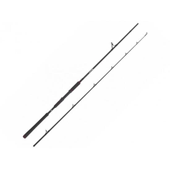 Canna da spinning Abu Garcia Beast Pike 842XH 30-110g