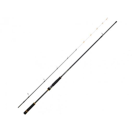 Canne spinning Daiwa BG 242 H 15-80g