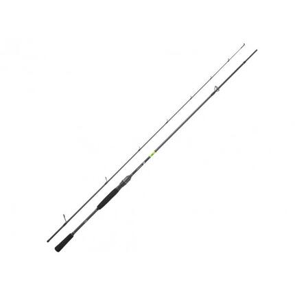 Canne Spinning Daiwa Prorex E 2022 (108g - 1m98 - 2 - 8g - 2)