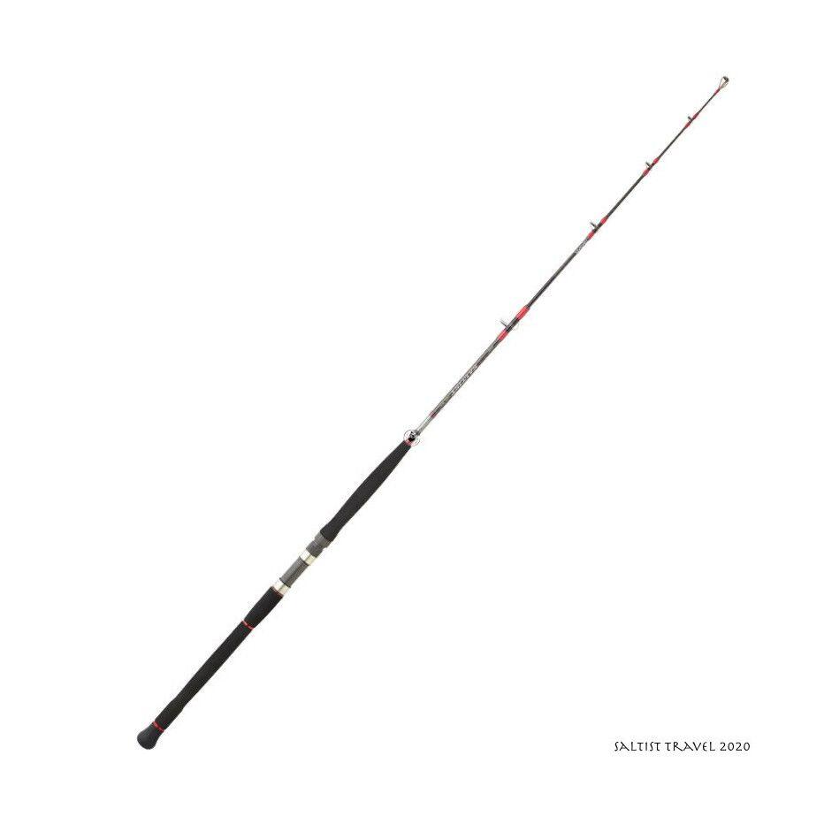 Daiwa - Canne Spinning Mer Daiwa Saltist Travel 2020 (553 Hs) - Canne - Taille Unique - Decathlon