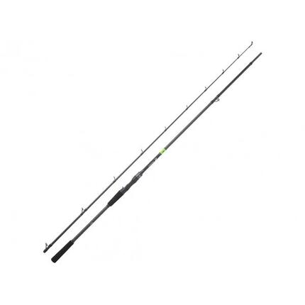 Canne Casting Daiwa Prorex E 2022 (135g - 1m98 - 60 - 120g - 2)