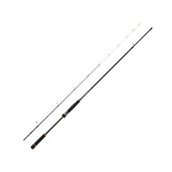 Canne Spinning Daiwa BG Tenya Game (133g - 2m40 - 10 - 42g - 2)