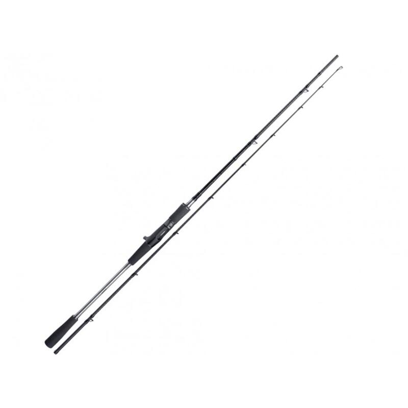 Canne Casting Shimano Yasei AX Pike (2m60 - 120 - 270g - 2)