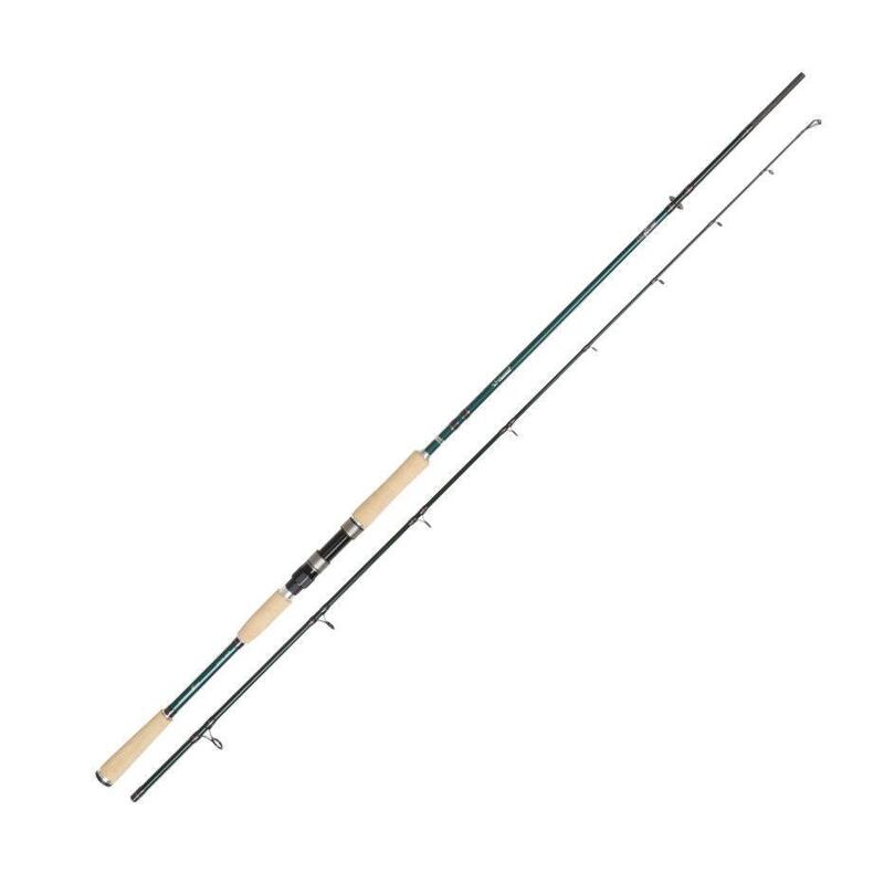 Canne Spinning Abu Garcia Beast X Pike Cork (842 H)