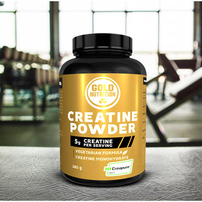 AUMENTO DE FORÇA CREATINE POWDER - 280 G