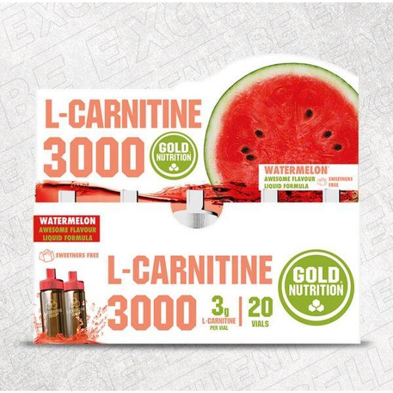 QUEIMADOR DE GORDURA L-CARNITINE 3000 MG MELANCIA - 20 FRASCOS