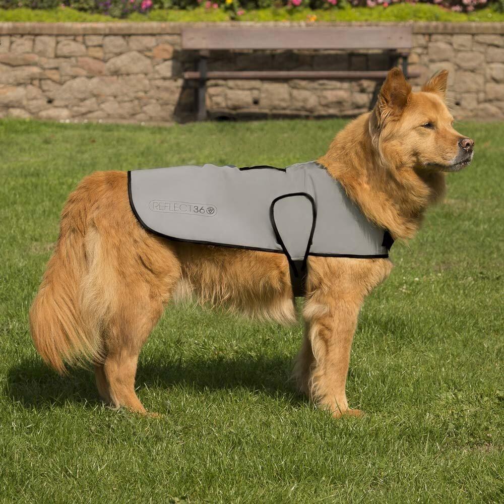 DOG COAT Veste pour chien réfléchissante/imperméable - XXL 3/6