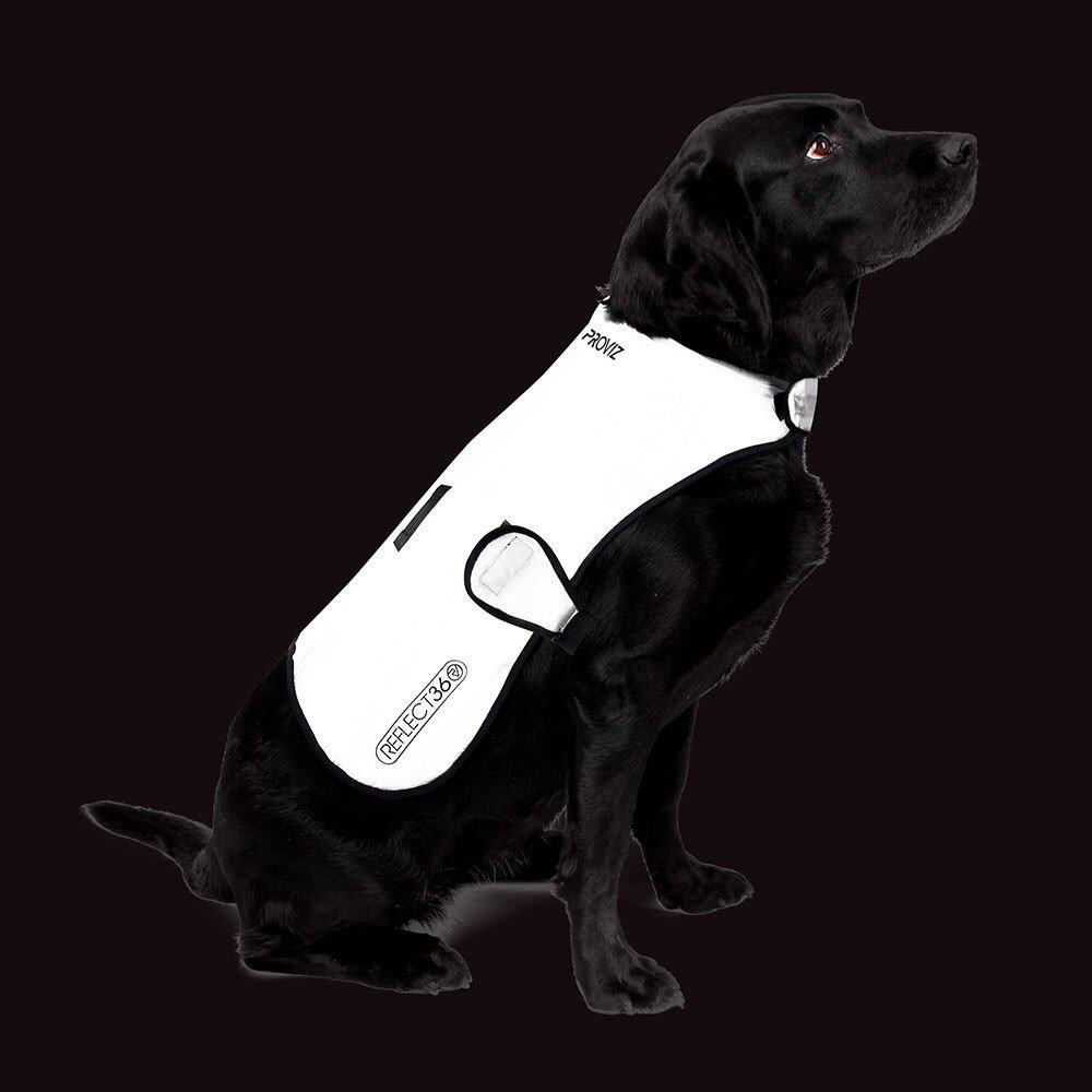 COVER DOG L Veste pour chien avec doublure imperméable - L 5/6