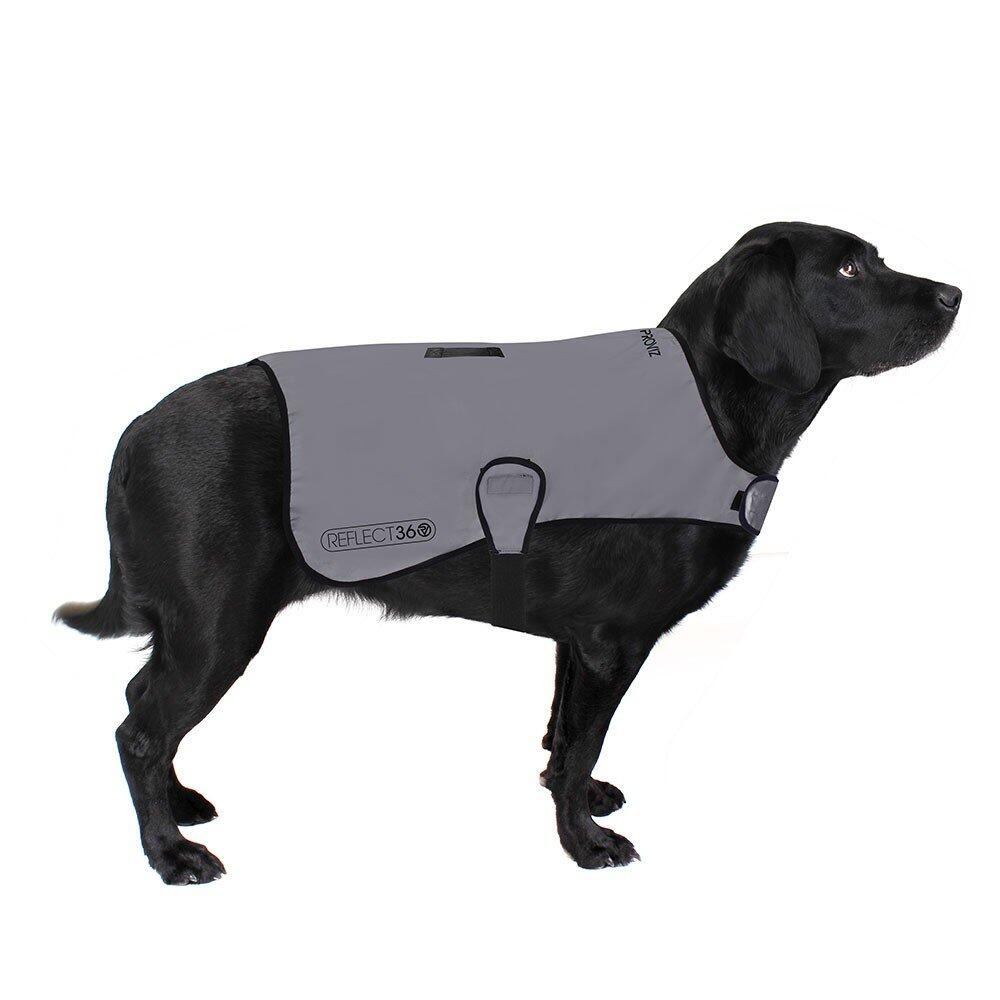 DOG COAT Veste pour chien réfléchissante/imperméable - XXL 4/6