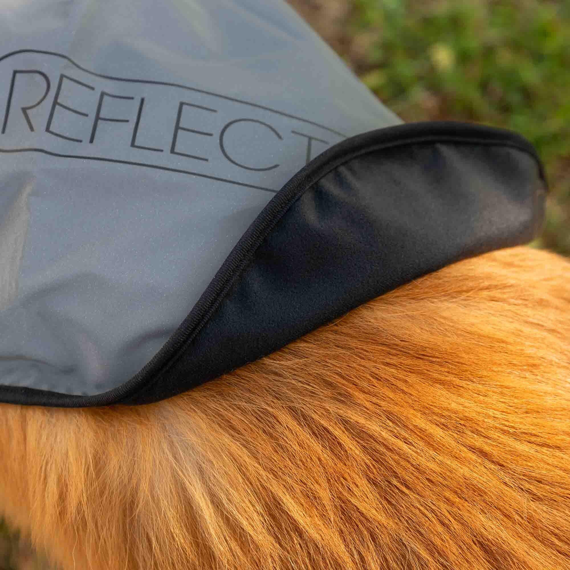 COVER DOG L Veste pour chien avec doublure imperméable - L 4/6