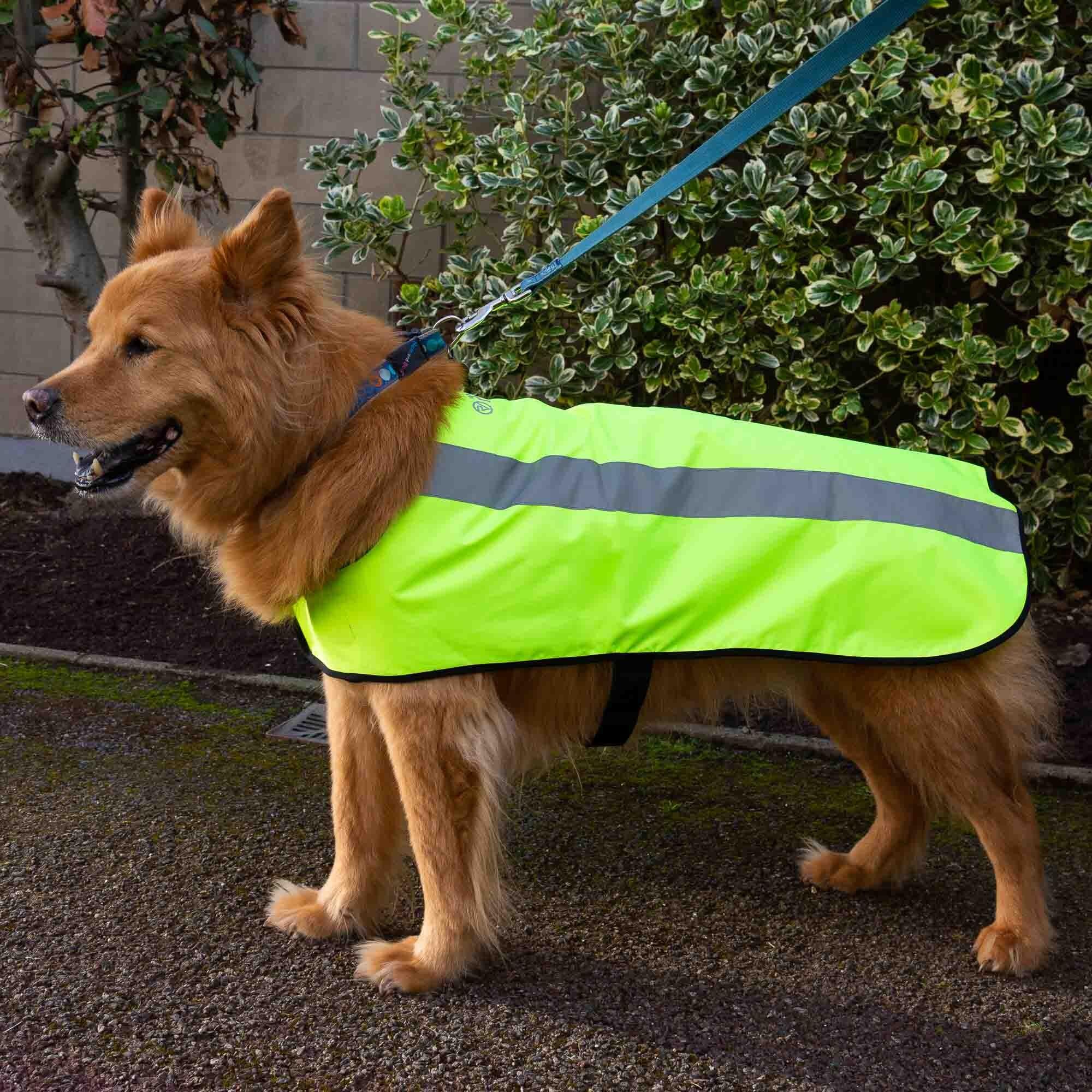 Proviz Classic Reflective Waterproof Dog Jacket 3/6