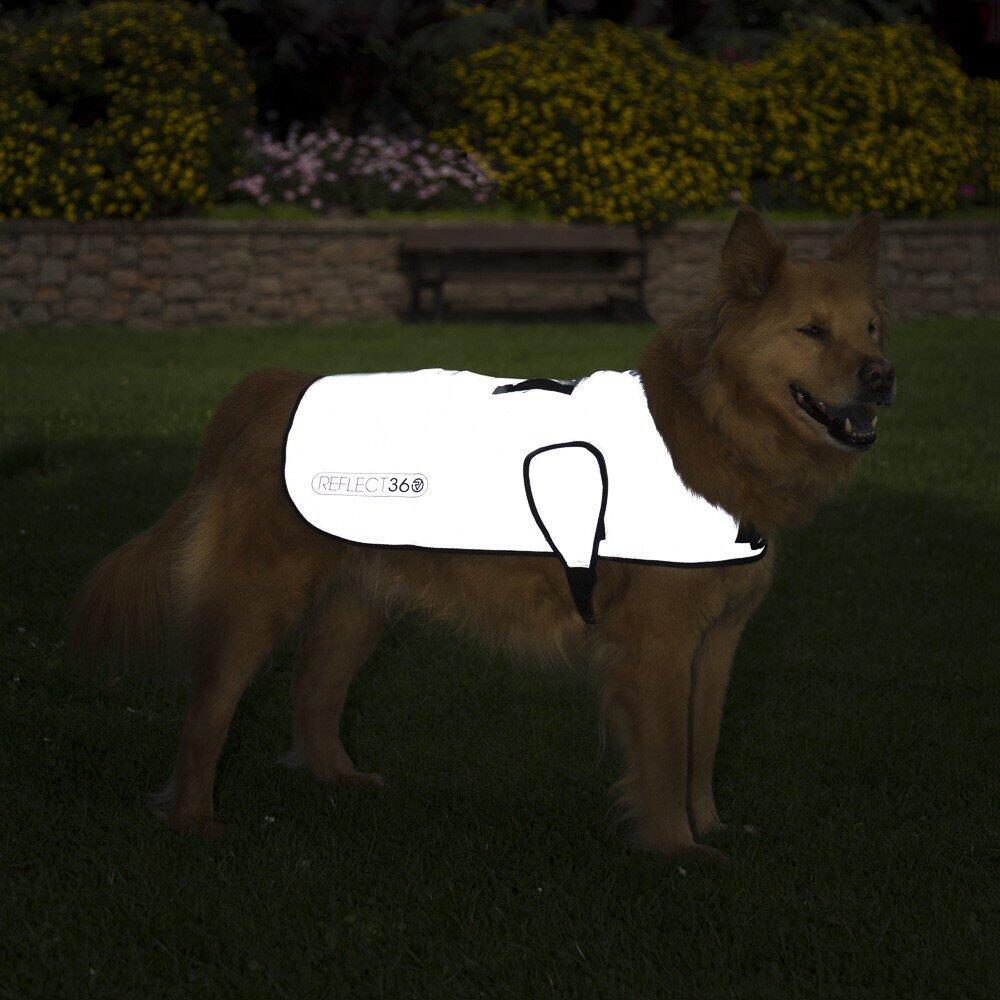 DOG COAT Veste pour chien réfléchissante/imperméable - XXL 2/6