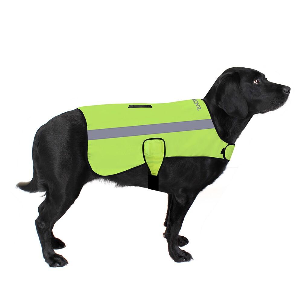 Proviz Classic Reflective Waterproof Dog Jacket 5/6