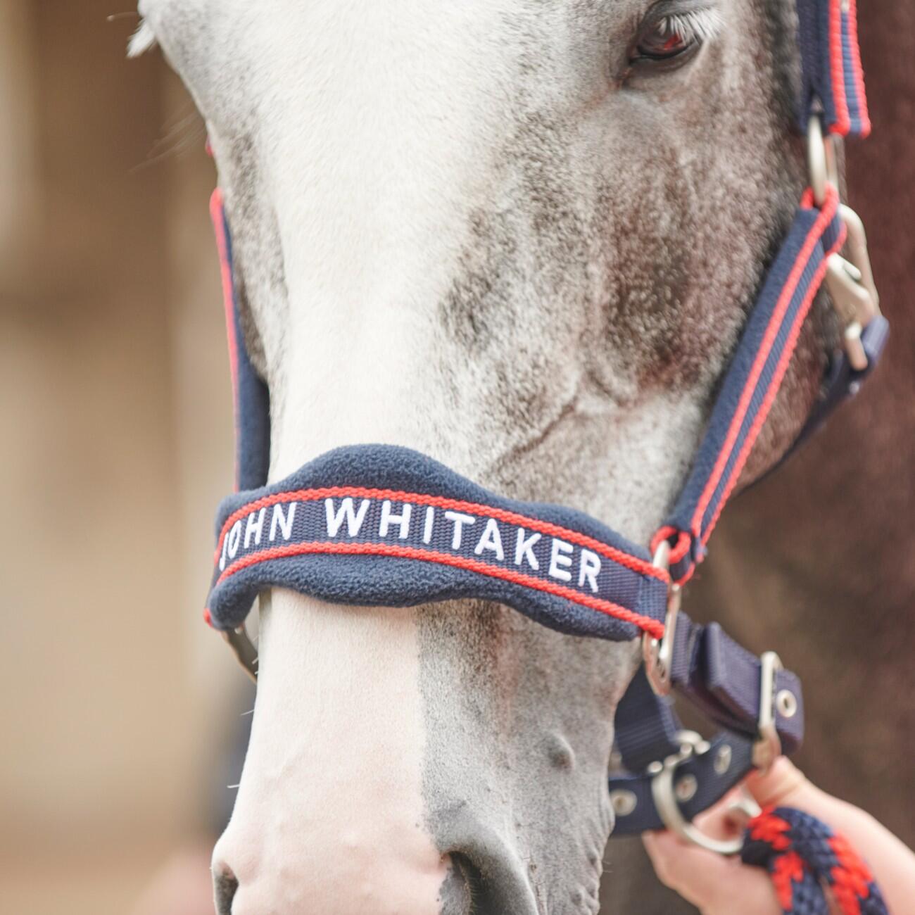 AIRFLOW HEAD COLLAR WITH LEADROPE SET 2/5