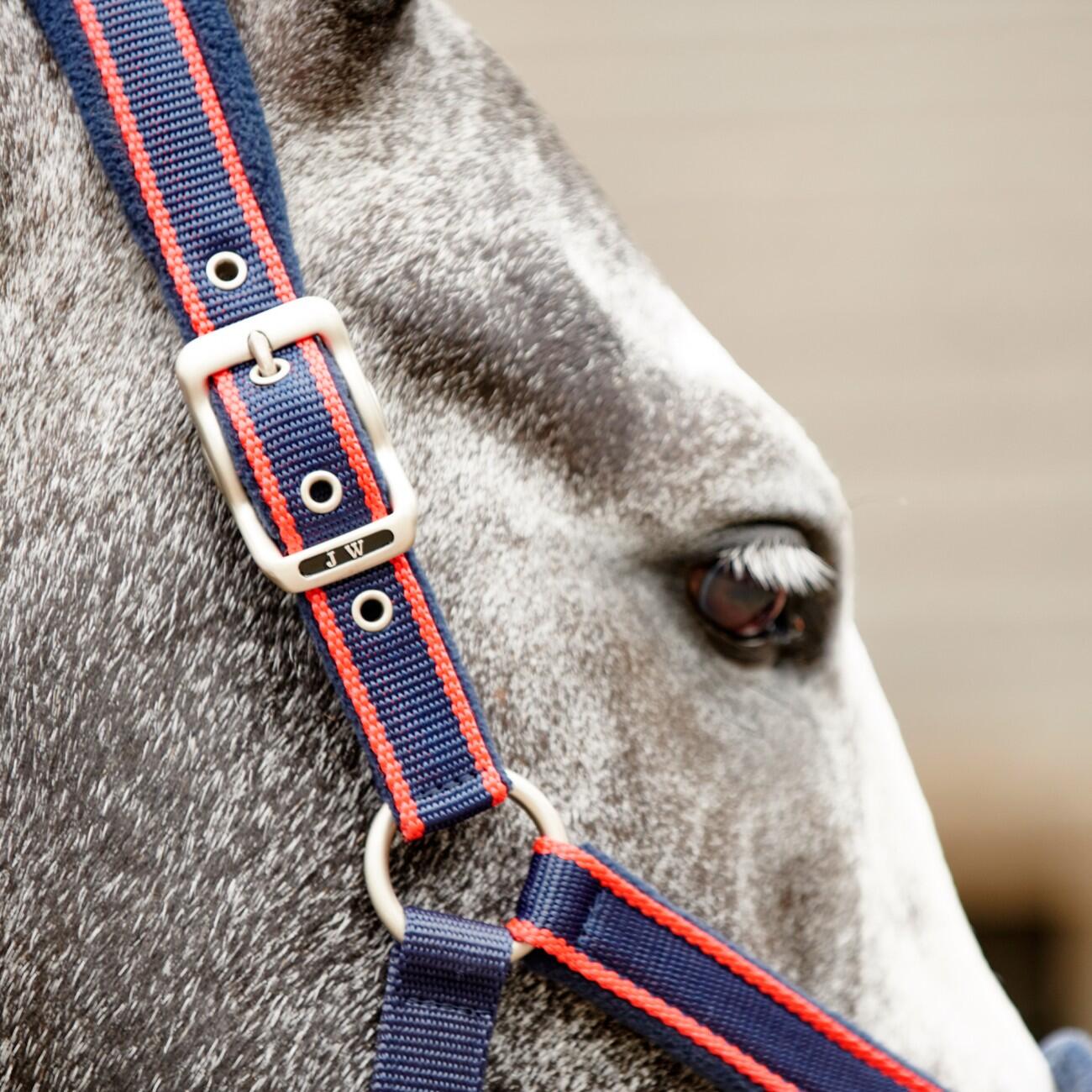 AIRFLOW HEAD COLLAR WITH LEADROPE SET 4/5