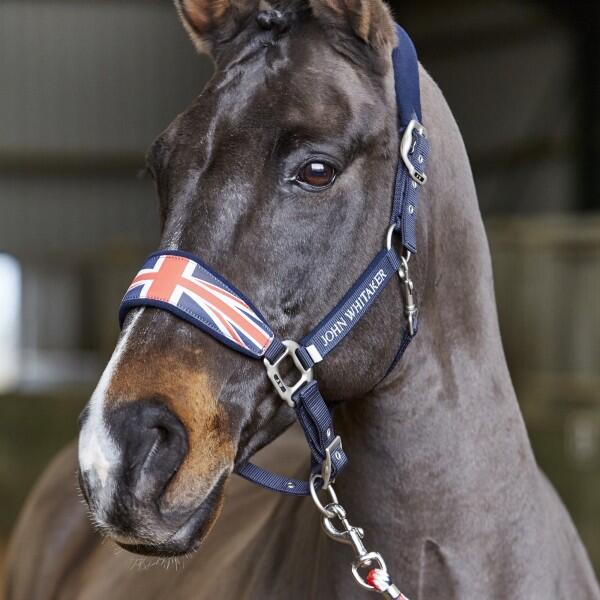 JOHN WHITAKER UNION JACK HEAD COLLAR