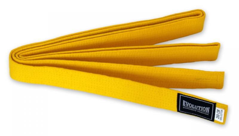 Pas do kimona Evolution Professional Equipment karate judo taekwondo 2/3