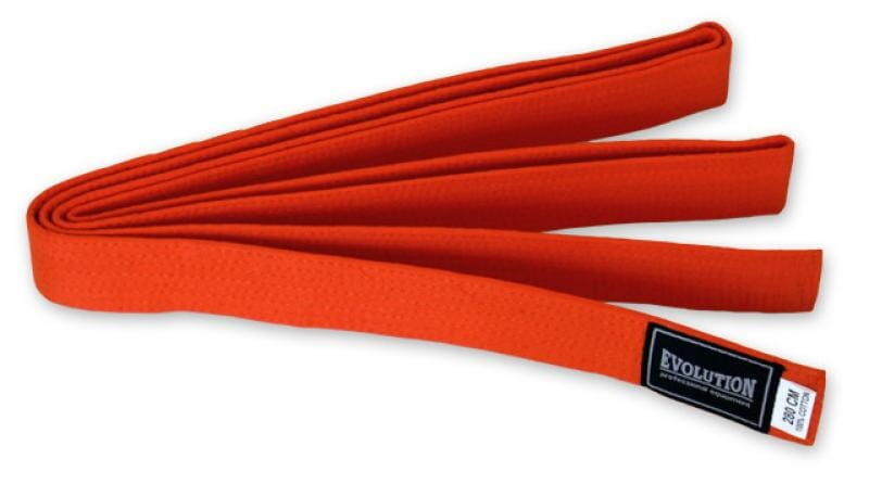 Pas do kimona Evolution Professional Equipment karate judo taekwondo 2/3