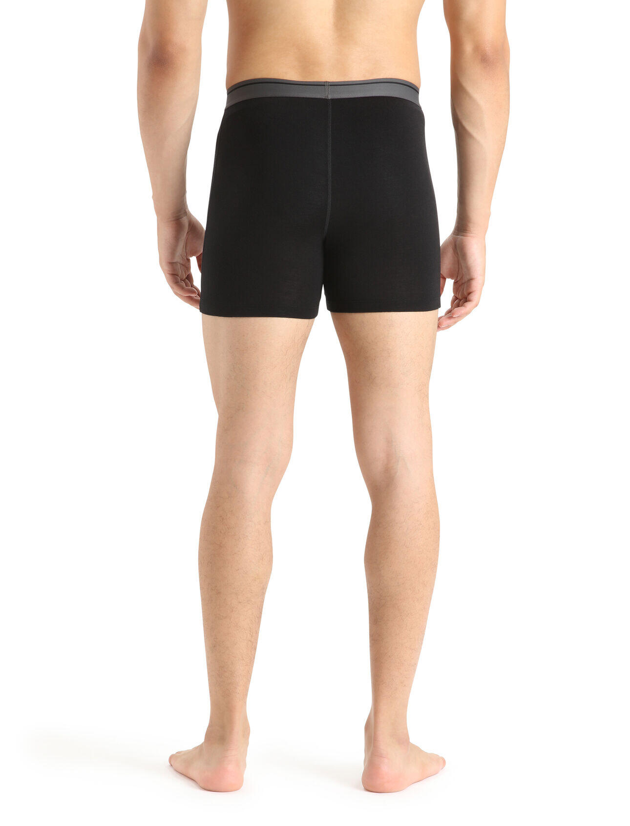 Icebreaker Anatomica 001 caleçon pour hommes 3/5