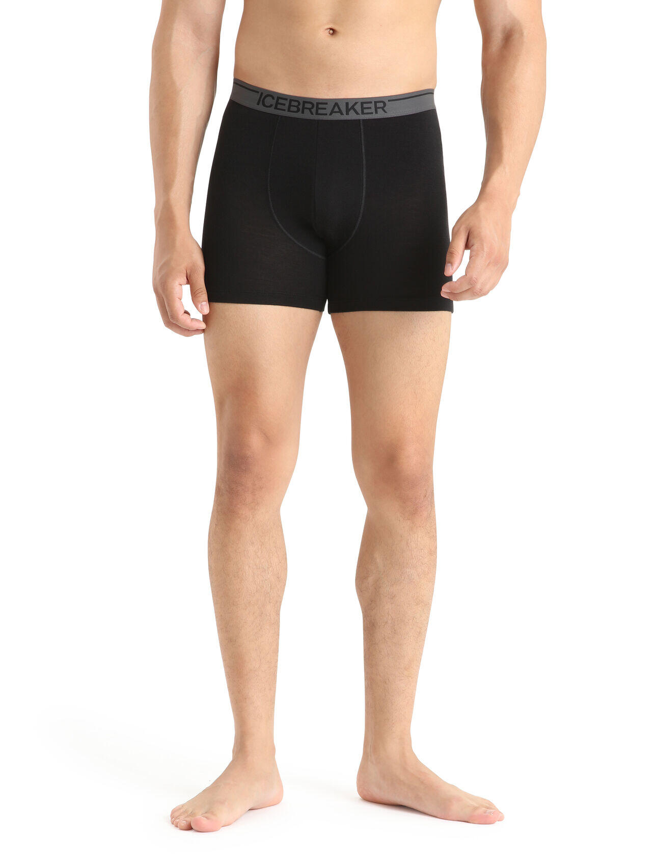 Icebreaker Anatomica 001 caleçon pour hommes 2/5