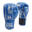 Gants de boxe Montana Hawk