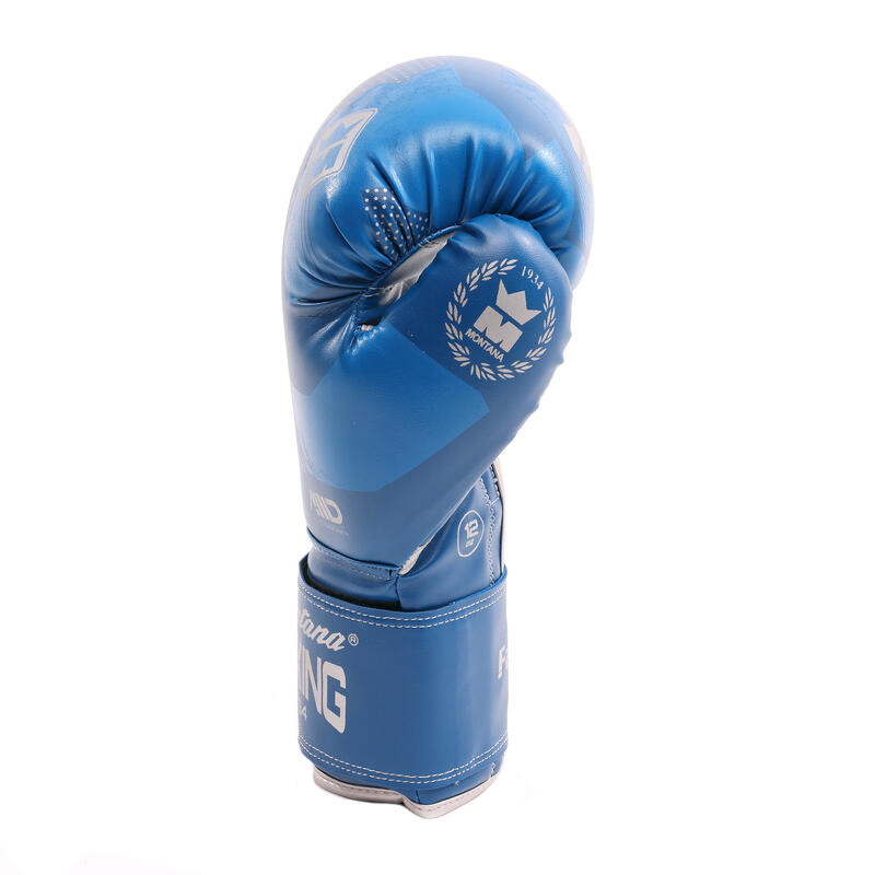 Gants de boxe FALCON