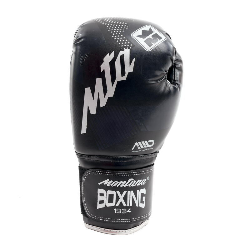 Gants de boxe FALCON