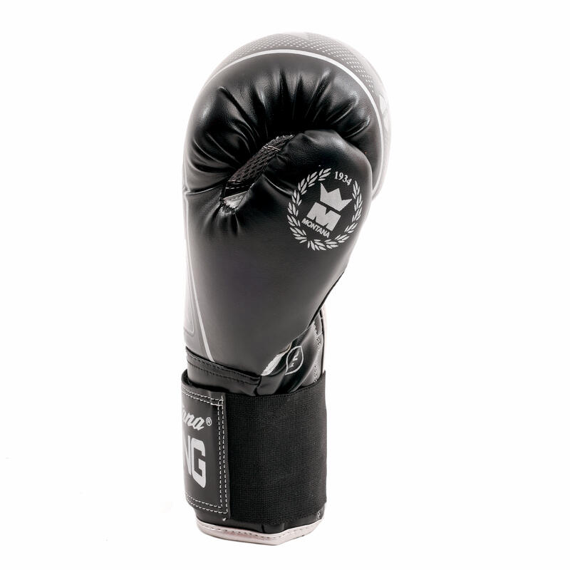 Gants de boxe HAWK