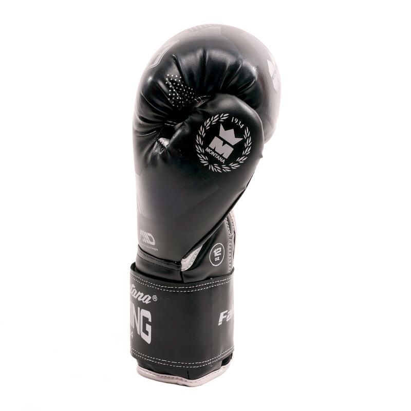 Gants de boxe FALCON