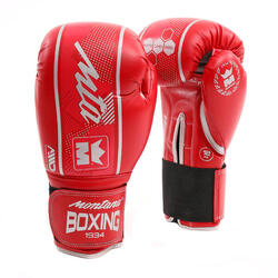 Gants de boxe Montana Hawk