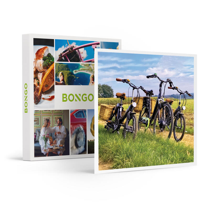 Bongo