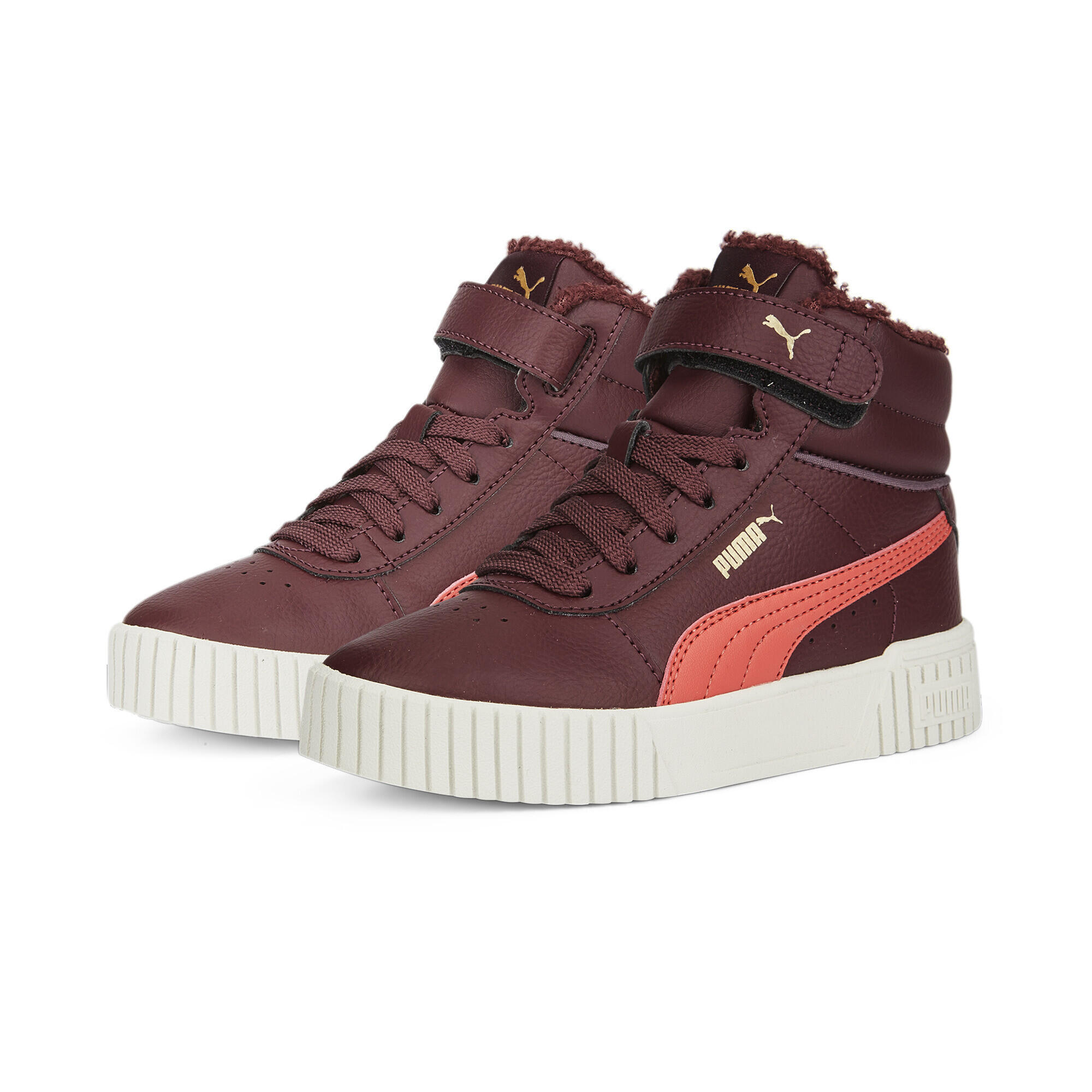 PUMA picture