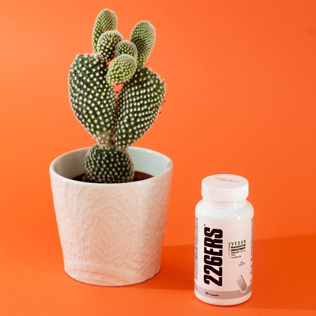 Suplemento alimentar – Magnesium – Zing – Comprimidos 4/5