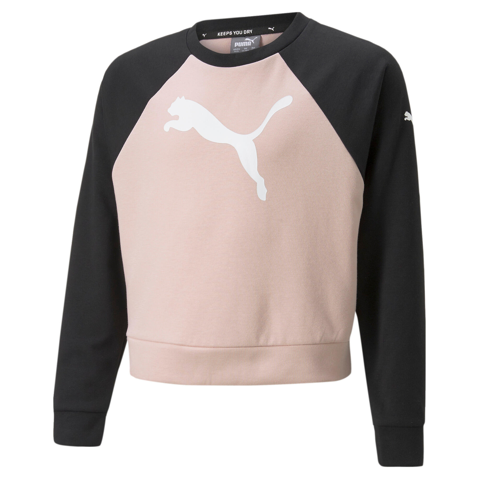 PUMA picture