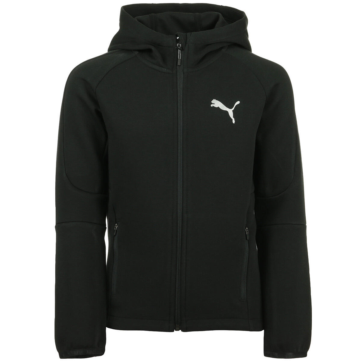 PUMA picture