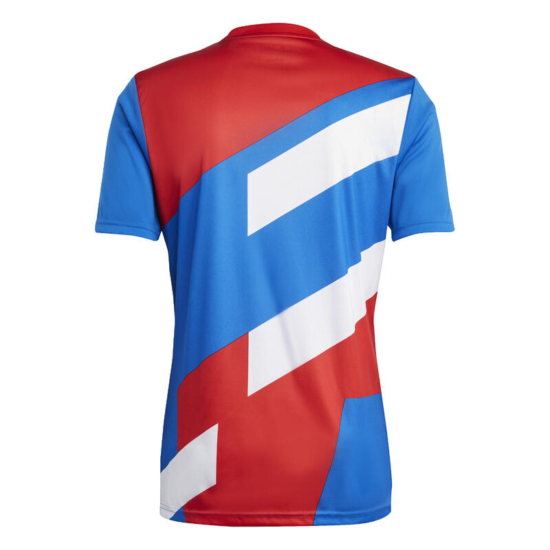 Camiseta antes del partido Bayern Munich 2022/23