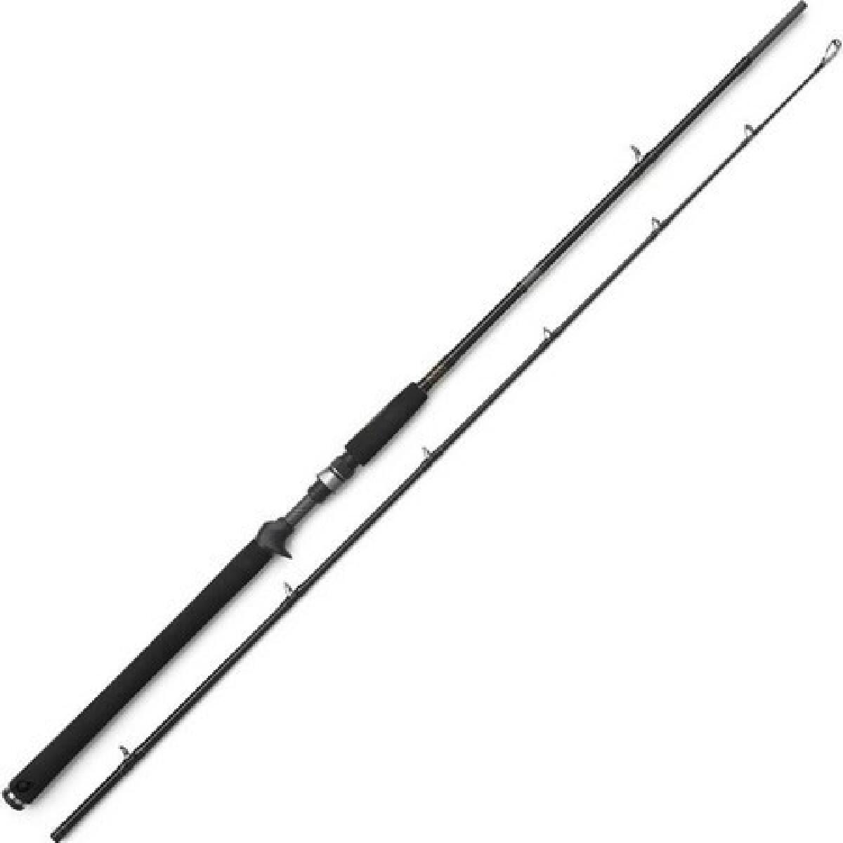 Westin W3 Jerkbait-T 2ND Castingrute (195 H) 2/5