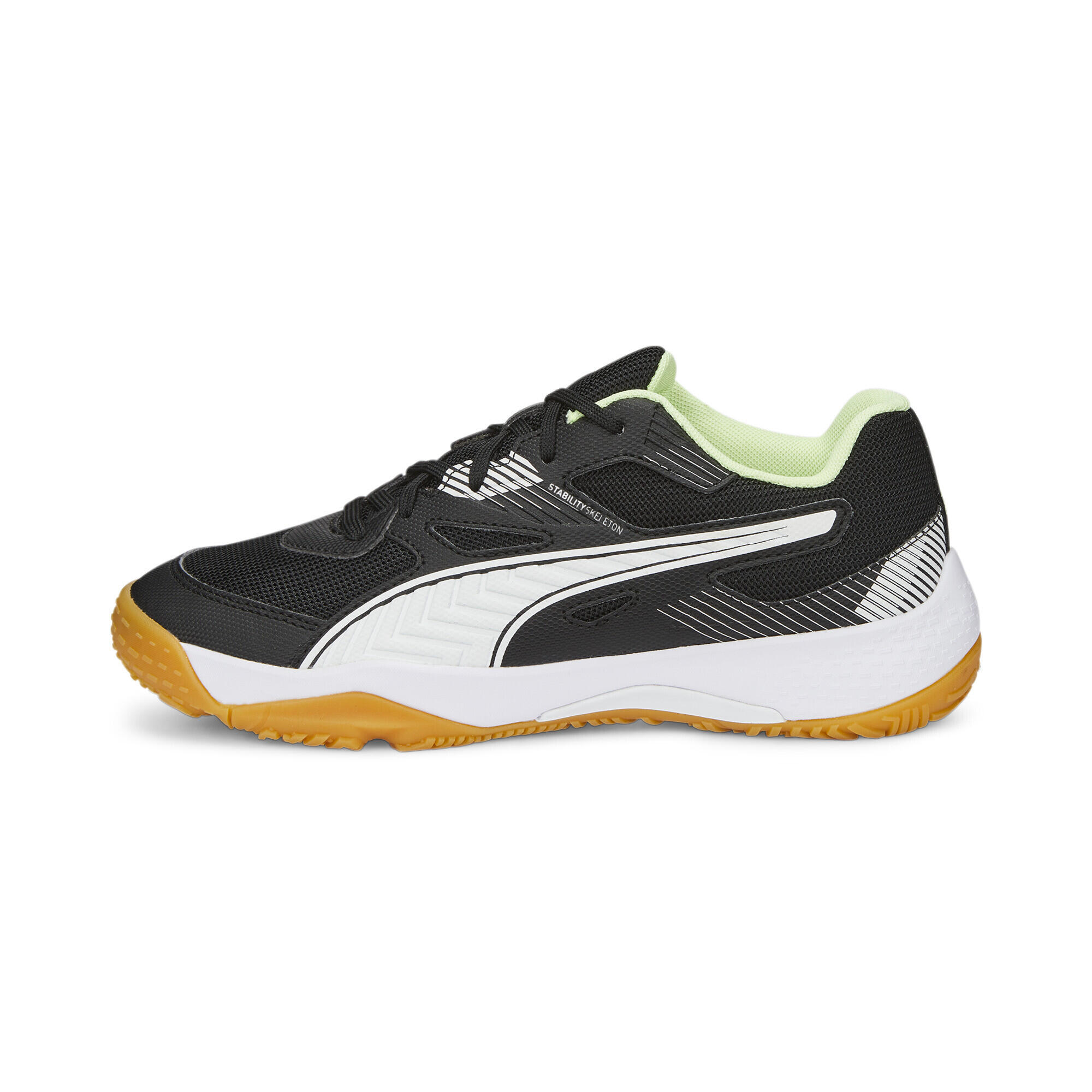 PUMA picture