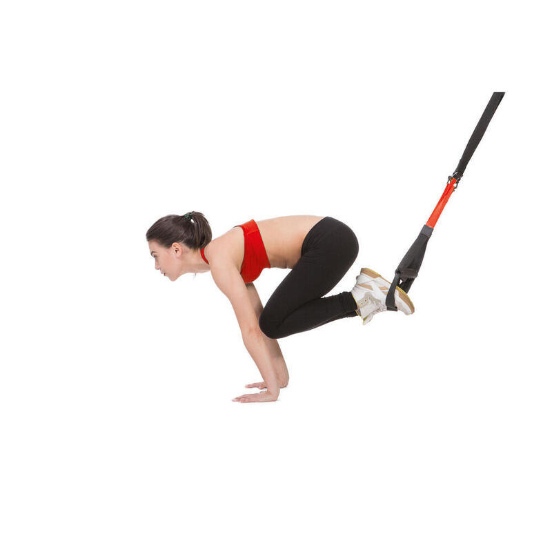 Iron Gym - Trainer Pro